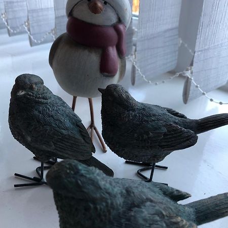 ホテル Auld Skuil Ashkirk エクステリア 写真